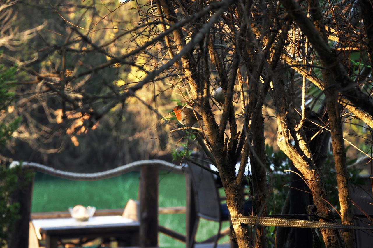 Lethe Exclusive Hotel (Adults Only) Ağva Exterior foto